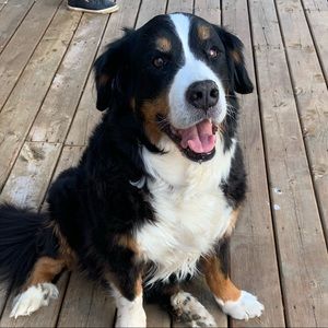 Meet your Posher, Michelle